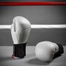 OUTSHOCK - 8 Oz Boxing Gloves 500 Ergo, Linen OUTSHOCK - 8 Oz Boxing Gloves 500 Ergo, Linen