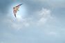ORAO - Unique Size FEEL'R 160 STUNT KITE, Default ORAO - Unique Size FEEL'R 160 STUNT KITE, Default