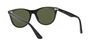 RAY-BAN - راي بان وايفرير II كلاسيك rb2185 RAY-BAN - راي بان وايفرير II كلاسيك rb2185