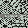 OLAIAN - EU 35-36 To 100S Print Women's Flip-Flops - Jbay - Pale Mint OLAIAN - EU 35-36 To 100S Print Women's Flip-Flops - Jbay - Pale Mint