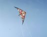 ORAO - Unique Size FEEL'R 160 STUNT KITE, Default ORAO - Unique Size FEEL'R 160 STUNT KITE, Default