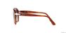 PERSOL - Tortoise Pilot Persol PO0649 PERSOL - Tortoise Pilot Persol PO0649