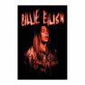 PYRAMID POSTERS - Pyramid Posters Billie Eilish Sparks PYRAMID POSTERS - Pyramid Posters Billie Eilish Sparks