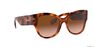 BURBERRY - Tortoise Butterfly Burberry BE4294 BURBERRY - Tortoise Butterfly Burberry BE4294