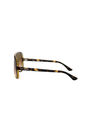 RAY-BAN - راي بان كاتس 5000 كلاسيك rb4125 RAY-BAN - راي بان كاتس 5000 كلاسيك rb4125