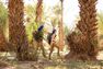 FORCLAZ - 30L Desert Trek Backpack - Ventilated And Anti-Sand - Desert 500 - Beige/Brown FORCLAZ - 30L Desert Trek Backpack - Ventilated And Anti-Sand - Desert 500 - Beige/Brown