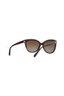 Michael Kors - Tortoise Cat Eye MK2045 JAN Michael Kors - Tortoise Cat Eye MK2045 JAN
