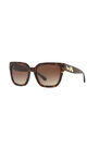 Coach - Tortoise Square HC8249 Coach - Tortoise Square HC8249
