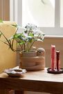 Urban Outfitters - Assorted Sloth Planter Urban Outfitters - Assorted Sloth Planter
