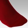 KIPSTA - EU 31-34 Kids' Football Socks F100 - Bright Indigo KIPSTA - EU 31-34 Kids' Football Socks F100 - Bright Indigo