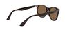 RAY-BAN - راي بان وايفرير II كلاسيك rb2185 RAY-BAN - راي بان وايفرير II كلاسيك rb2185