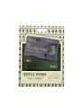 WILD EYE DESIGNS - Credit Card Bottle Opener Black WILD EYE DESIGNS - Credit Card Bottle Opener Black