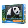 PRIME 3D - Prime 3D Animal Planet Panda 48 Pcs 3D Jigsaw Puzzle PRIME 3D - Prime 3D Animal Planet Panda 48 Pcs 3D Jigsaw Puzzle
