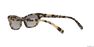 MIU MIU - Gold Cat Eye Miu Miu MU 10US MIU MIU - Gold Cat Eye Miu Miu MU 10US