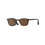 QUECHUA - Unique Size Category 3 Hiking Sunglasses MH160 - Brown and, Ebony QUECHUA - Unique Size Category 3 Hiking Sunglasses MH160 - Brown and, Ebony