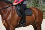FOUGANZA - EU 37 Schooling Adult Horse Riding Long Boots - Black, Black FOUGANZA - EU 37 Schooling Adult Horse Riding Long Boots - Black, Black