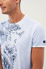 Salsa Jeans - Light Grey Graphic Round Neck T-Shirt Salsa Jeans - Light Grey Graphic Round Neck T-Shirt