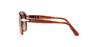 PERSOL - Tortoise Pilot Persol PO0649 PERSOL - Tortoise Pilot Persol PO0649