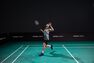 PERFLY - Unique Size BADMINTON ADULT RACKET BR 930 C, Default PERFLY - Unique Size BADMINTON ADULT RACKET BR 930 C, Default