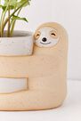 Urban Outfitters - Assorted Sloth Planter Urban Outfitters - Assorted Sloth Planter