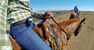 GoPro - GoPro Head Strap + Quick Clip GoPro - GoPro Head Strap + Quick Clip