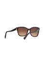 Coach - كوتش hc8219 Coach - كوتش hc8219