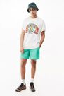 Urban Outfitters - GRN UO Nomad Mint Swim Shorts Urban Outfitters - GRN UO Nomad Mint Swim Shorts
