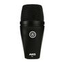AKG - AKG P2 Dynamic Microphone AKG - AKG P2 Dynamic Microphone