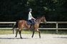 FOUGANZA - 8 Yrs/H 28cm Mesh 300 Schooling Junior Horse Riding Half-Chaps, Black FOUGANZA - 8 Yrs/H 28cm Mesh 300 Schooling Junior Horse Riding Half-Chaps, Black