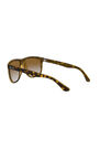 RAY-BAN - Tortoise Square Ray-Ban RB4147 RAY-BAN - Tortoise Square Ray-Ban RB4147