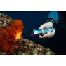 SUBEA - 100 Lumen SCD Spot Diving Torch/Lamp - 3000 Lux - Watertight To 100M - Light Grey SUBEA - 100 Lumen SCD Spot Diving Torch/Lamp - 3000 Lux - Watertight To 100M - Light Grey