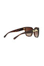 Coach - Tortoise Square HC8249 Coach - Tortoise Square HC8249