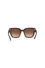 Coach - Tortoise Square HC8249 Coach - Tortoise Square HC8249
