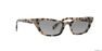 MIU MIU - Gold Cat Eye Miu Miu MU 10US MIU MIU - Gold Cat Eye Miu Miu MU 10US