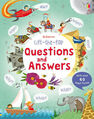 USBORNE PUBLISHING LTD UK - Lift The Flap Questions And Answers USBORNE PUBLISHING LTD UK - Lift The Flap Questions And Answers