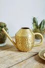 Urban Outfitters - Gold Velma Watering Can Urban Outfitters - Gold Velma Watering Can