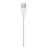 APPLE - Apple Lightning to USB Cable 1M APPLE - Apple Lightning to USB Cable 1M