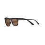 QUECHUA - Unique Size Category 3 Hiking Sunglasses MH160 - Brown and, Ebony QUECHUA - Unique Size Category 3 Hiking Sunglasses MH160 - Brown and, Ebony