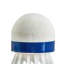 BOYAUDERIE DE L'EST - . Badminton Plastic Shuttlecocks Mavis 300 6-Pack - White, Default BOYAUDERIE DE L'EST - . Badminton Plastic Shuttlecocks Mavis 300 6-Pack - White, Default