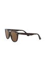 RAY-BAN - راي بان وايفرير II كلاسيك rb2185 RAY-BAN - راي بان وايفرير II كلاسيك rb2185