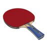 PONGORI - Set Of 2 Ttr 100 3* All-Round Table Tennis Bats And 3 Ttb 100* 40+ Balls Orange - Black PONGORI - Set Of 2 Ttr 100 3* All-Round Table Tennis Bats And 3 Ttb 100* 40+ Balls Orange - Black