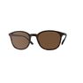QUECHUA - Unique Size Category 3 Hiking Sunglasses MH160 - Brown and, Ebony QUECHUA - Unique Size Category 3 Hiking Sunglasses MH160 - Brown and, Ebony