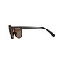 QUECHUA - Unique Size Category 3 Hiking Sunglasses MH160 - Brown and, Ebony QUECHUA - Unique Size Category 3 Hiking Sunglasses MH160 - Brown and, Ebony