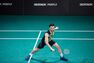 PERFLY - Unique Size BADMINTON ADULT RACKET BR 930 C, Default PERFLY - Unique Size BADMINTON ADULT RACKET BR 930 C, Default