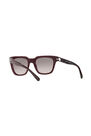 Coach - Violet Square Coach HC8240 Coach - Violet Square Coach HC8240