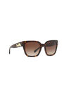 Coach - Tortoise Square HC8249 Coach - Tortoise Square HC8249