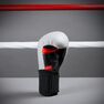 OUTSHOCK - 8 Oz Boxing Gloves 500 Ergo, Linen OUTSHOCK - 8 Oz Boxing Gloves 500 Ergo, Linen