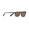 QUECHUA - Unique Size Category 3 Hiking Sunglasses MH160 - Brown and, Ebony QUECHUA - Unique Size Category 3 Hiking Sunglasses MH160 - Brown and, Ebony