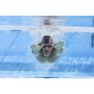 NABAIJI - Large SWIMMING GOGGLES SPIRIT SIZE L SMOKED LENSES, Magnolia NABAIJI - Large SWIMMING GOGGLES SPIRIT SIZE L SMOKED LENSES, Magnolia