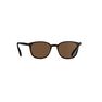 QUECHUA - Unique Size Category 3 Hiking Sunglasses MH160 - Brown and, Ebony QUECHUA - Unique Size Category 3 Hiking Sunglasses MH160 - Brown and, Ebony